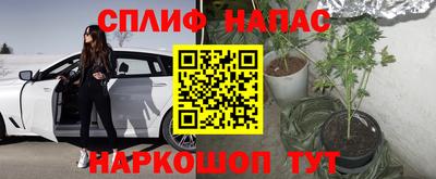 мяу мяу мука Свободный